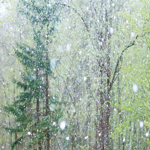 动漫魅魔裸体㊙️无遮挡
