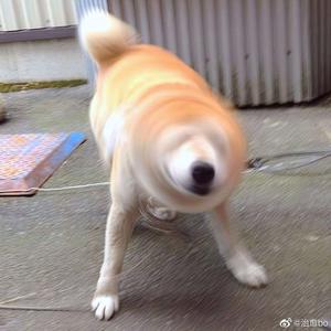 亚洲女孩淫荡毛片
